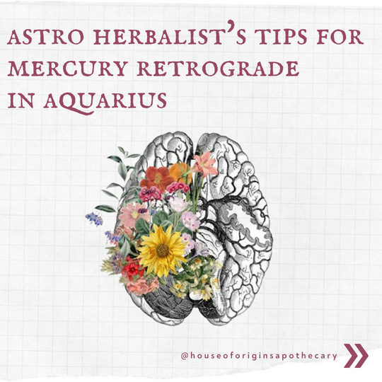 Herbalist Perspective on Mercury Retrograde in Aquarius
