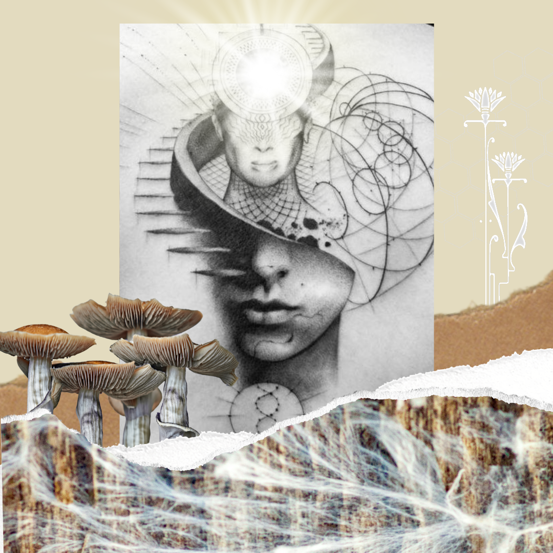 Microdosing Protocols & Insights