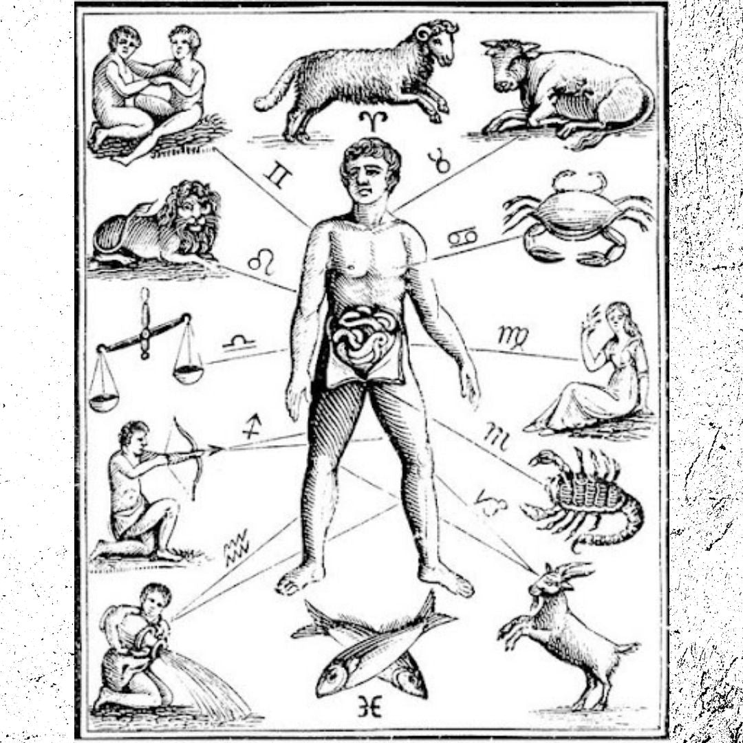 Intro to Medical Astrology – House Of Origins Apothecary