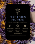 Blue Lotus Flowers